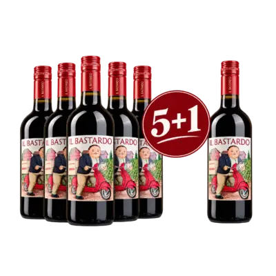 Renzo Masi Il Bastardo Rosso 5+1 Vorteilskarton mit 6 Flaschen